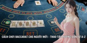 cách chơi baccarat 78win soccer